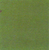 Indoor Flooring