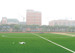 Synthetic Turf