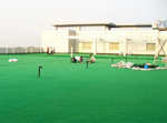 Synthetic Turf