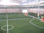 Synthetic Turf