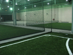 Synthetic Turf