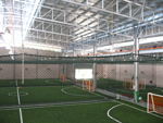 Synthetic Turf