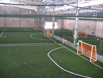 Synthetic Turf