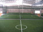 Synthetic Turf