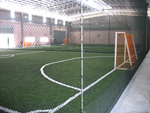 Synthetic Turf