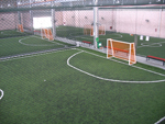 Synthetic Turf